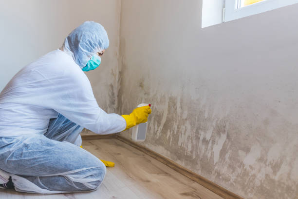 Hvac And Air Duct Mold Remediation inspection of HVAC system in Warren